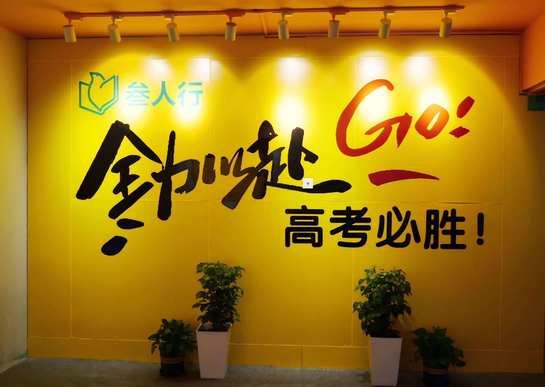 行业精选!广东佛山盘点艺考文化课培训机构前十名